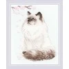 Meow-Zen siuvinėjimo rinkinys iš RIOLIS Nr.: 1878
