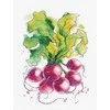 Oven Premium siuvinėjimo rinkinys Ridikėliai, 20×31 cm, Zweigart 16 ct, 26 spalvos