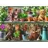 Ravensburger - Dėlionė Katės Ant Lentynos 500p (12000205)