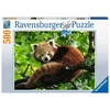 Ravensburger Dėlionė 500 vnt. - Raudonoji panda