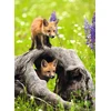Ravensburger Dėlionė 300 vnt. - Smalsūs lapiukai