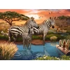 Ravensburger dėlionė „Zebrai“, 500 det.