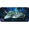 Rockpool Elias Helena Sleeping Spirits: Midnight Messages for Peaceful Rest