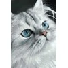 Wizardi Deimantinis paveikslas Cat eyes 20*30 cm WD3003