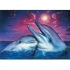 Wizardi Deimantinis paveikslas Dolphins WD223 38*27 cm