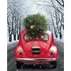 Wizardi Deimantinis paveikslas Holiday On Its Way WD2442