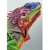 Wizardi Deimantinis paveikslas Iguana WD065 27*38 cm
