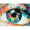 Wizardi Deimantinis paveikslas Rainbow Eye 40*30 cm WD3004