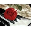 Wizardi Deimantinis paveikslas Rose Music WD053 38*27 cm
