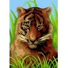 Wizardi Tapybos pagal skaičius rinkinys: Baby tiger 16.5x13 cm MINI116
