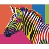 Wizardi Tapybos pagal skaičius rinkinys: Rainbow Zebra 16.5x13 cm MINI006