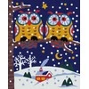 Wizardi Tapybos pagal skaičius rinkinys: Owls 16.5x13 cm MINI055
