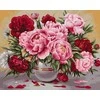 Wizardi Tapybos Pagal Skaičius Rinkinys - Garden Peonies 40x50 cm B057