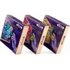 Plastilinas Okto SUCCULENTS TENDERNESS ETC10010