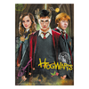 Dodo dėlionė Harry Potter Hogwarts (250 det.)