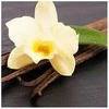 Cereria Molla 1899 Cereria Molla Bois De Santal Imperial namų kvapas 100 ml