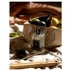 Cereria Mollá Incense sticks juodas Fig &amp; Citrus 20 pcs