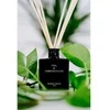 Cereria Molla 1899 Cereria Molla Tea &amp; Lemongrass namų kvapas su lazdelėmis 100 ml