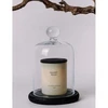 Cereria Molla 1899 Cereria Molla Velvet Wood XL 600g