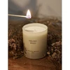 Cereria Molla 1899 Cereria Molla Velvet Wood XL 600g