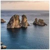 Cereria Molla 1899 Cereria Molla Verbena Di Sicilia smilkalai 20 vnt