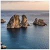 Cereria Molla 1899 Cereria Mollá Verbena Di Sicilia smilkalai 20 vnt.