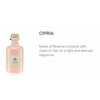 Chiara Firenze Cipria Colorata namų kvapas 500 ml