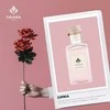 Chiara Firenze Cipria namų kvapas 200 ml