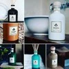 Chiara Firenze Grecale Colorata namų kvapas 500 ml