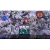 Chiara Firenze Zefiro EDP 100 ml