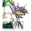 Drėkintuvas COCODOR Garden Lavender levandų difuzorius 200 ml
