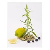 Compagnie De Provence CDP Baltas Tea skysto Marselio muilo papildymas 1 l