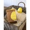 EXPRESS "Ecoegg" Fragrance Free ekologiškas skalbimo kiaušinis, 70 skalbimų.