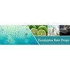 Goose Creek Eucalyptus Rain Drops dušo gelis 300 ml