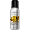 Greenland Papaya & Lemon kelioninis rinkinys 3 vnt.