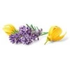Happy Earth Lavender Ylang kietasis dušo prausiklis 90 g
