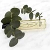 Lip Intimate Care Bisabol skutimosi aliejus be kvapiųjų medžiagų 75 ml