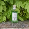 Logevy Firenze 1965 Namų kvapas su lazdelėmis "Ficus Botanica" (žalumos, medienos ir vanilės kvapo), 100 ml