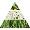 Logevy Firenze 1965 Peonia In Fiore papildymas 500 ml