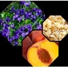 Logevy Firenze 1965 Viola Candita skystas muilas 500 ml