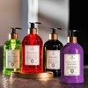 Logevy Firenze 1965 Viola Candita skystas muilas 500 ml