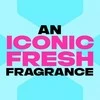 Lynx Epic Fresh XXXL dušo gelis 700 ml