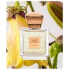MAJOURI - Sweet Ambrette EDP