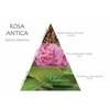 Naturalmila Italia Rosa Antica namų kvapas su lazdelėmis 500 ml