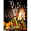 Officina Delle Essenze Scorze &amp; Spezie namų kvapas su lazdelėmis 500 ml