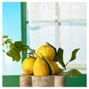 Rudy Milano Sicilian Lemon drėkinamasis kūno kremas 450 ml