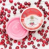 Saules Fabrika Cranberry kūno jogurtas 200 g