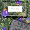 Senteurs de France Papa Chéri kvapusis muilas 125 g
