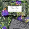 Senteurs De France Papa Chéri muilas 125 g