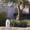 Theophile Berthon Lavender dušo želė 500 ml